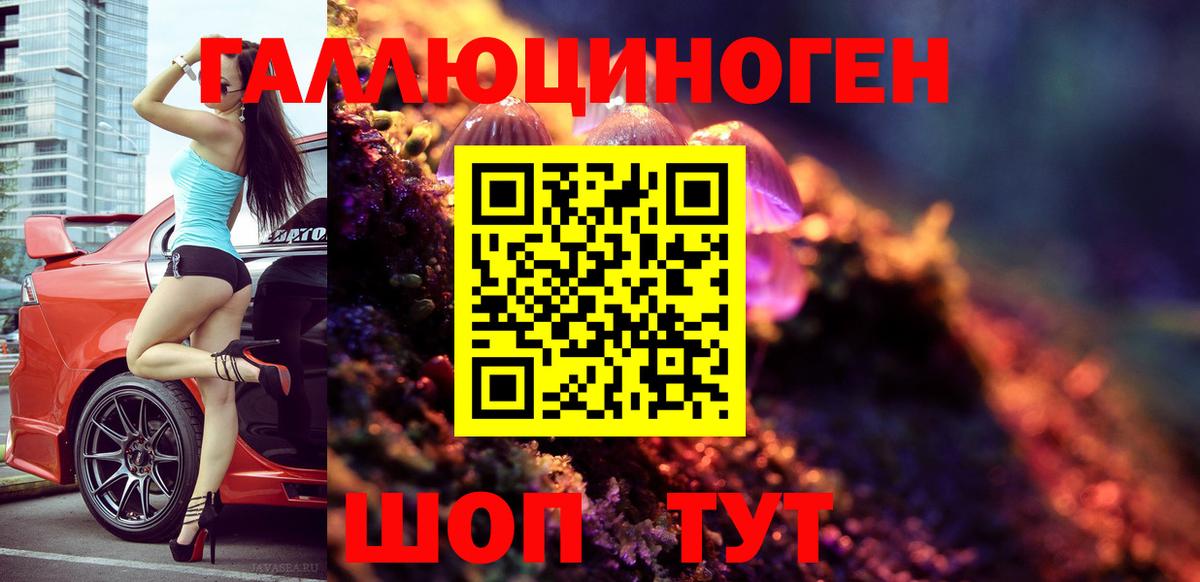 Псилоцибиновые грибы прущие грибы Будённовск