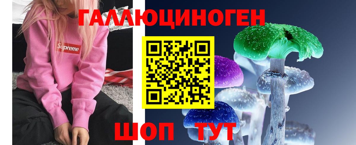Будённовск  Псилоцибиновые грибы мицелий  Вход с VPN 