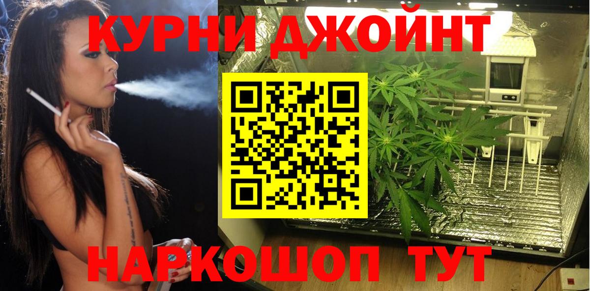МАРИХУАНА марихуана Будённовск